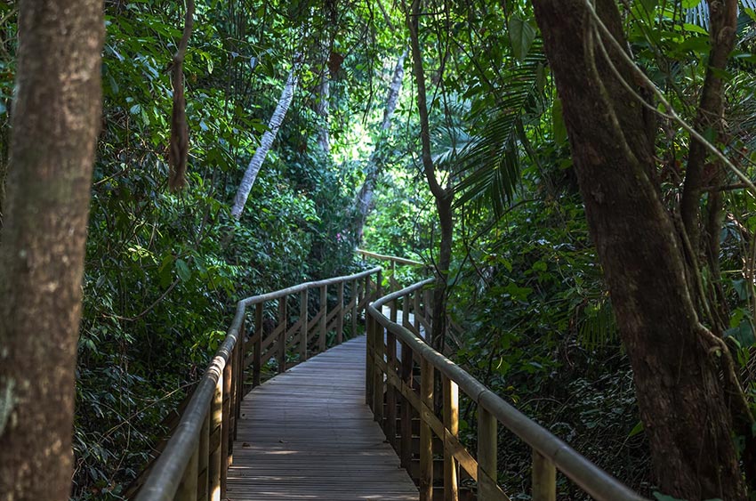 Day tour in Manuel Antonio National Park