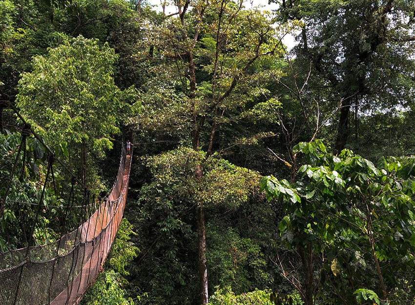 What to do in Manuel Antonio on Monday