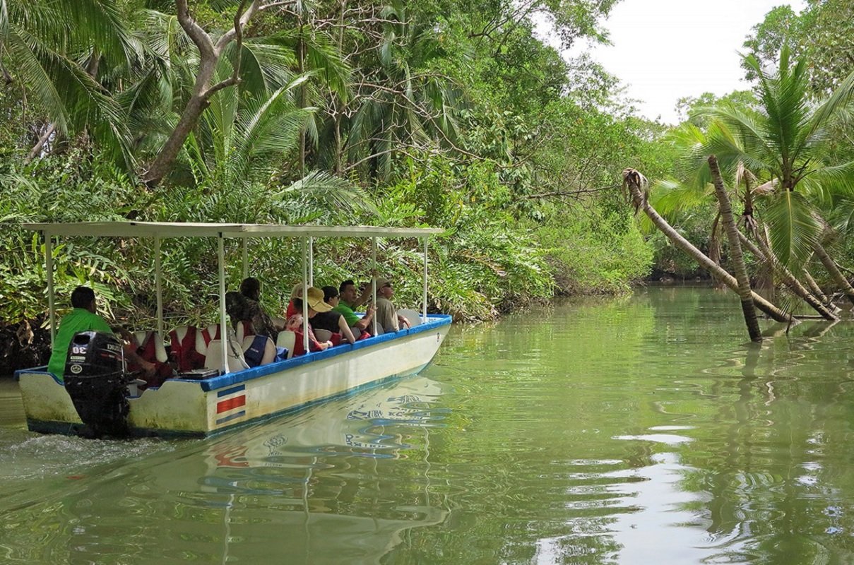 MangroveMonkeyBoatWeb