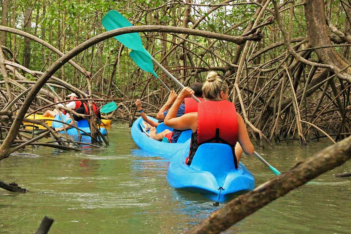 damas-island-mangrove-tours2
