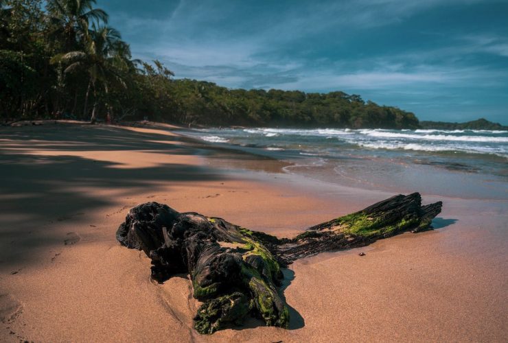 Costa Rica Family Vacation Options - The Beach