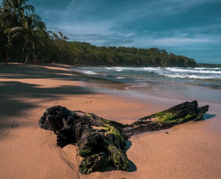 Costa Rica Family Vacation Options - The Beach